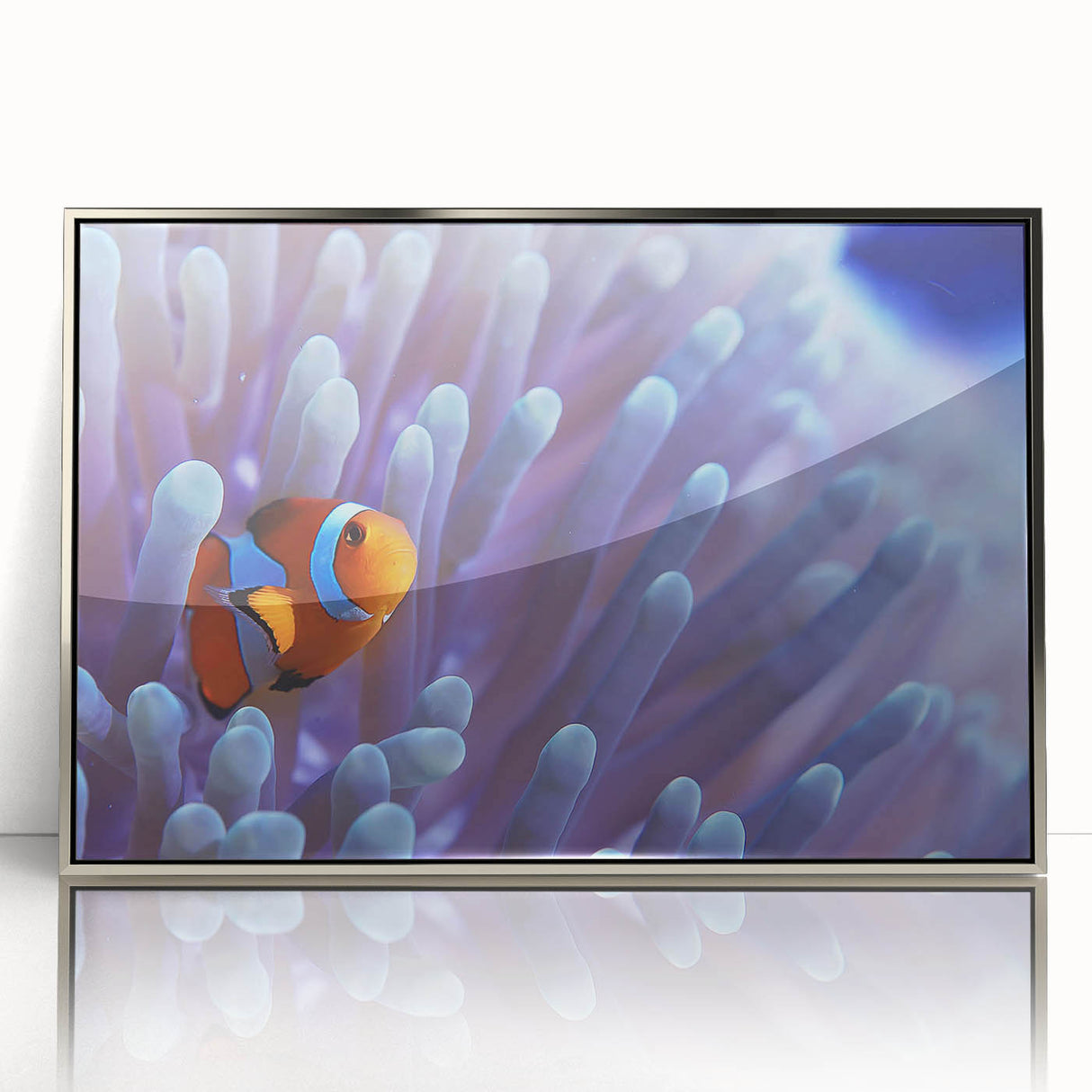 Framed acrylic wall art displaying a vibrant marine life coral design, featuring shades of blue and orange, ideal for ocean-themed decor in modern interiors.
