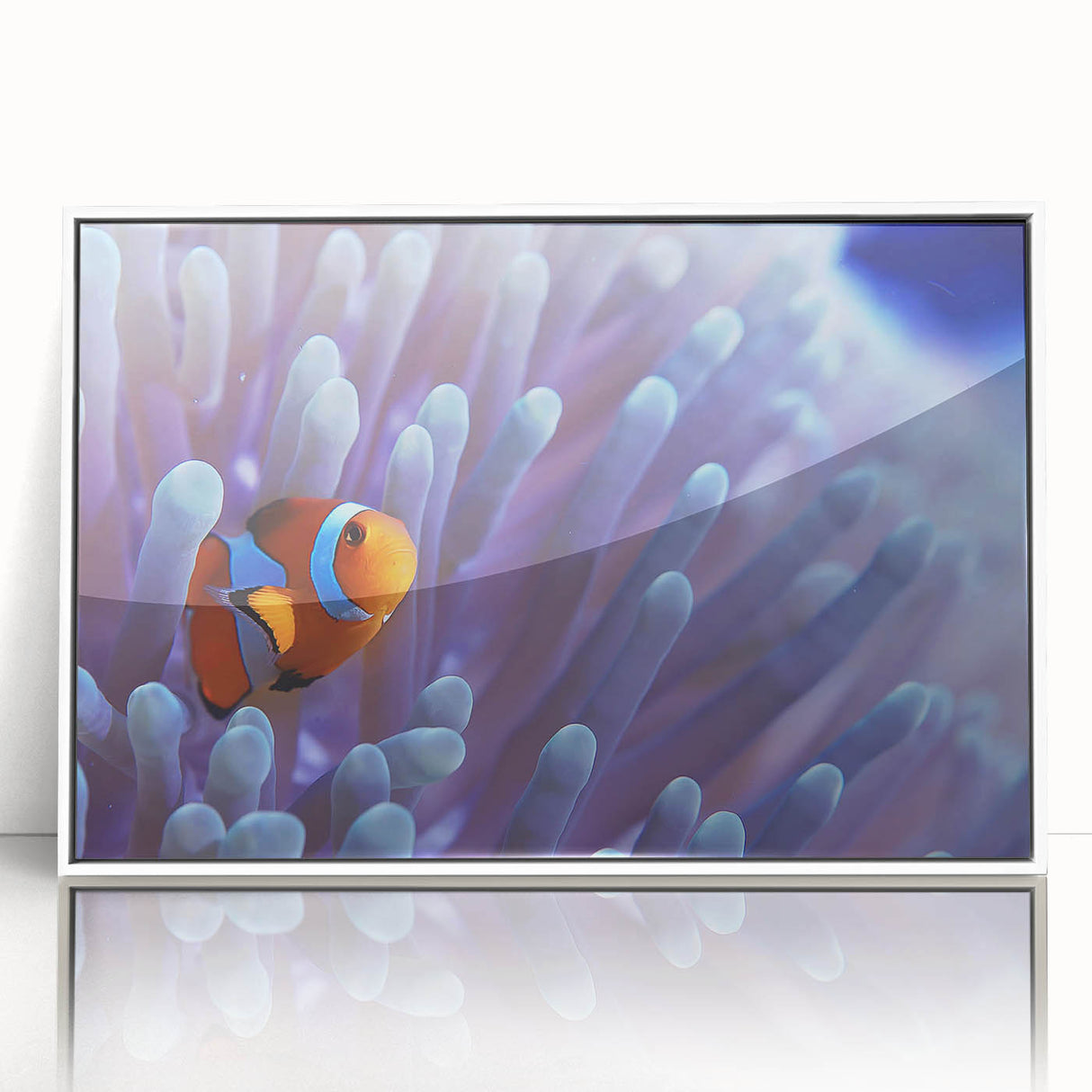 Framed acrylic wall art showcasing a vibrant marine life coral design, with a sleek white frame, ideal for enhancing coastal-themed interiors. Perfect for ocean lovers.