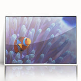 Framed acrylic wall art showcasing a vibrant marine life coral design, with a sleek white frame, ideal for enhancing coastal-themed interiors. Perfect for ocean lovers.