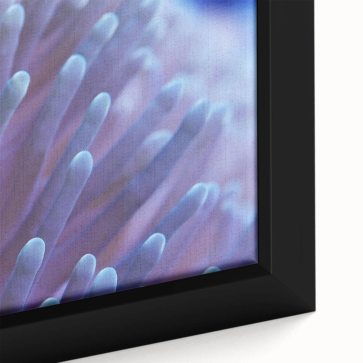 Close-up of a vibrant framed canvas wall art featuring a marine life coral design, showcasing intricate textures and colors ideal for coastal-themed decor.