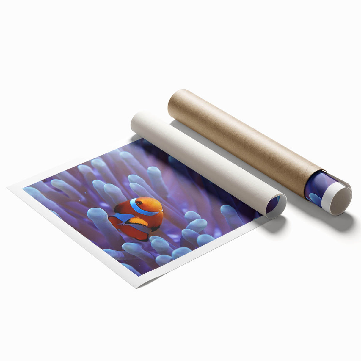 Vibrant marine life coral design wall art print showcasing colorful underwater scenes, rolled for easy display and shipping, perfect for ocean-themed decor.