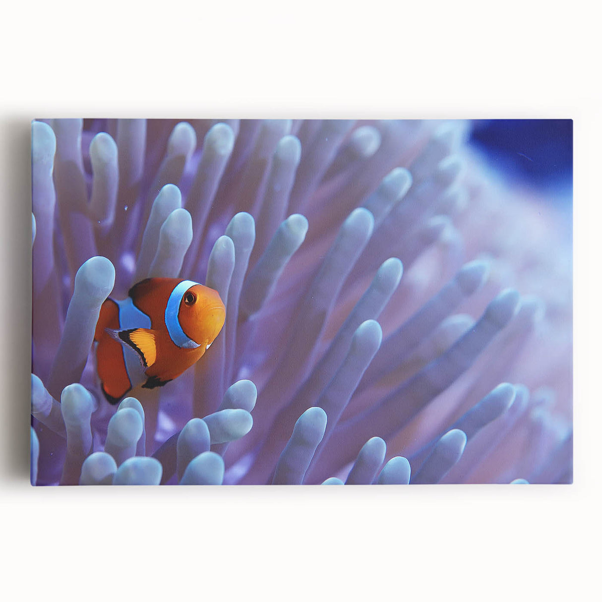 Vibrant stretched canvas wall art featuring a colorful marine life coral design, showcasing intricate details and textures, ideal for ocean-themed decor.