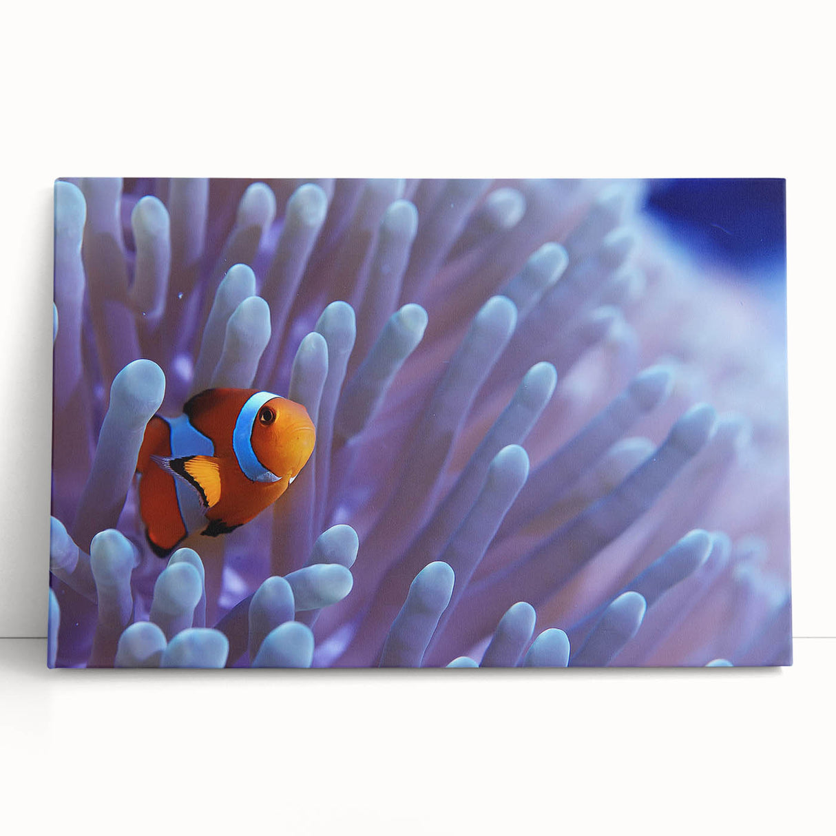 Vibrant marine life wall art featuring colorful coral designs on a stretched canvas, perfect for ocean-themed decor. Ideal for enhancing living spaces with a coastal aesthetic.