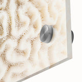 Close-up of vibrant marine life coral design wall art, showcasing intricate details in shades of blue and orange, ideal for ocean-themed decor.