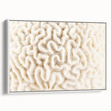 Framed canvas wall art showcasing a vibrant coral reef design with rich blues and reds, perfect for marine life enthusiasts, displayed in a sleek white frame.