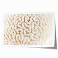 Vibrant marine life coral design wall art print showcasing intricate underwater details, featuring bright colors on a rolled canvas, perfect for ocean-themed decor.