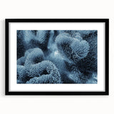 Black-framed wall art featuring a vibrant marine life coral design, showcasing colorful corals and sea creatures, perfect for enhancing ocean-themed decor.
