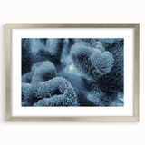 Framed wall art featuring a vibrant marine life coral design in silver frame with mat, showcasing intricate details of underwater ecosystems and colorful corals.