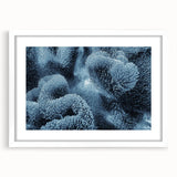 Framed marine life wall art featuring vibrant coral designs in a white mat, perfect for ocean-themed decor. Ideal for adding a touch of nature to your space.
