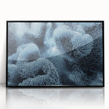 Framed wall art piece showcasing a vibrant marine life coral design with intricate details and a sleek black frame, perfect for ocean-themed decor.