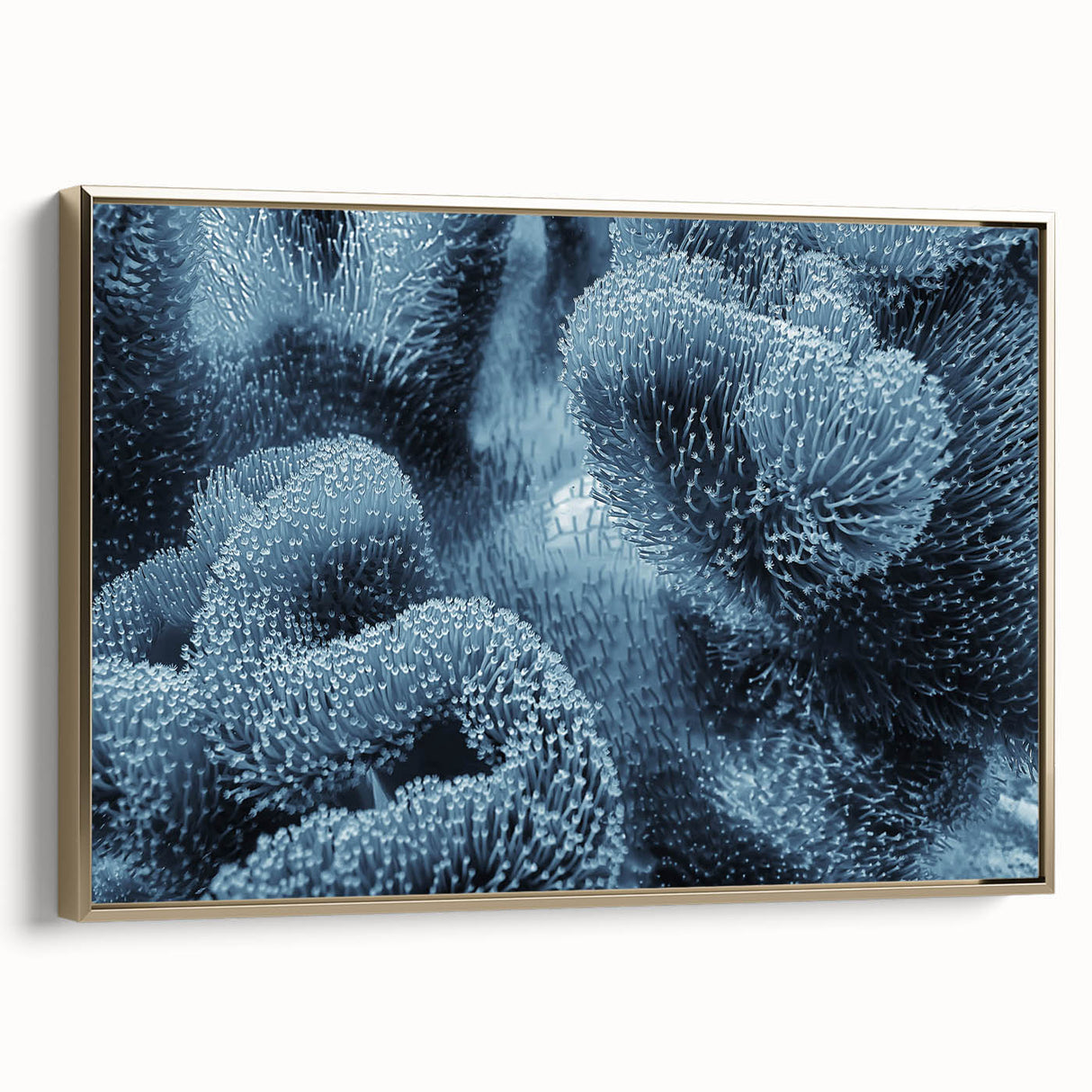 Framed canvas wall art showcasing a vibrant marine life coral design, elegantly bordered in gold, perfect for adding a touch of oceanic beauty to any room decor.