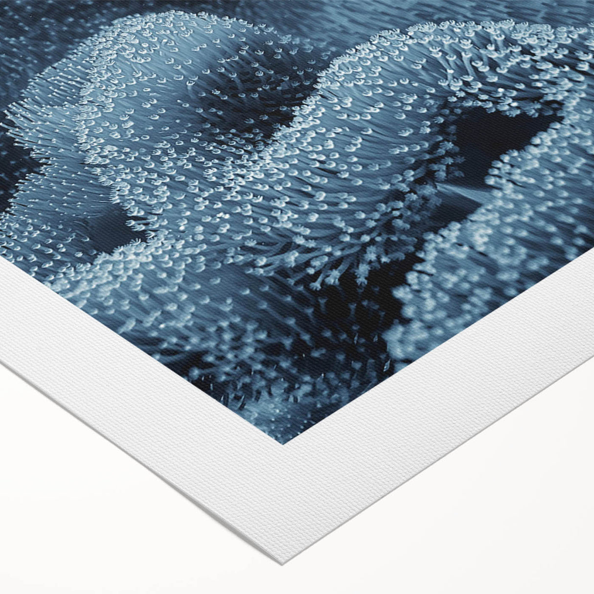Vibrant rolled canvas print showcasing a marine life coral design, featuring intricate details in shades of blue and orange, perfect for ocean-themed decor.