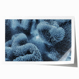 Vibrant wall art print showcasing intricate coral reef marine life design, rolled and ready for display, featuring vivid colors and detailed textures for aquatic enthusiasts.