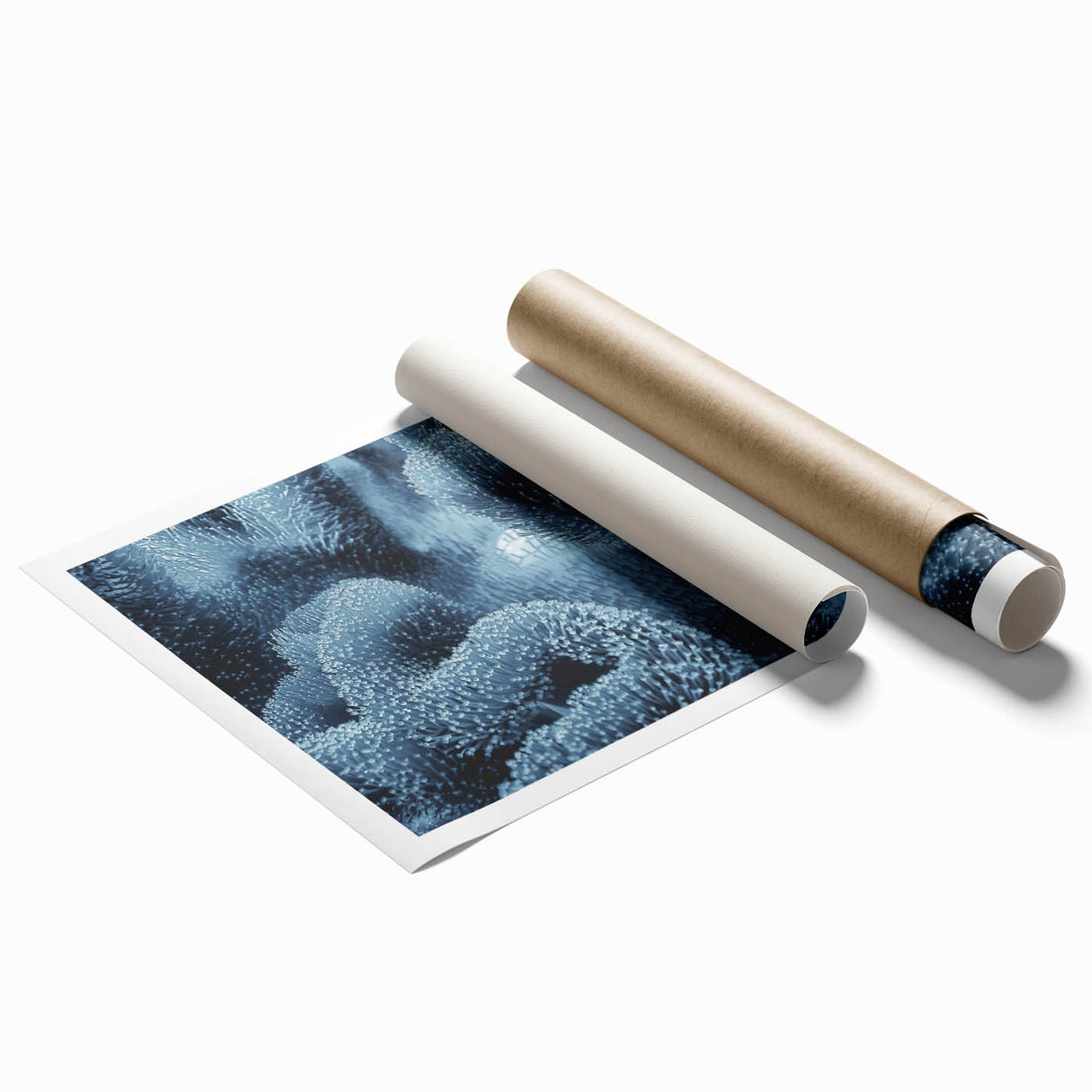 Vibrant marine life coral design wall art print showcasing colorful coral reefs and tropical fish, rolled for easy display and shipping in a protective tube.