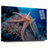 Vibrant acrylic wall art collection showcasing intricate marine life and coral designs, displayed from a side view on a sleek glass frame, perfect for ocean-themed decor.
