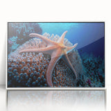 Framed acrylic wall art featuring a vibrant marine life coral design, showcasing colorful corals and sea creatures, ideal for enhancing coastal-themed decor.