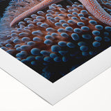 Colorful marine life coral design printed on rolled canvas wall art, showcasing vibrant underwater scenes, ideal for ocean-themed decor, packaged for easy display.