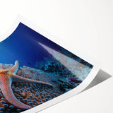 Vibrant marine life coral design wall art print showcasing colorful underwater scenes, rolled for easy transport and display, perfect for ocean-themed decor.