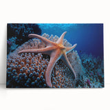 Vibrant marine life coral design stretched canvas wall art, showcasing colorful underwater scenes, perfect for ocean-themed decor in homes or offices.