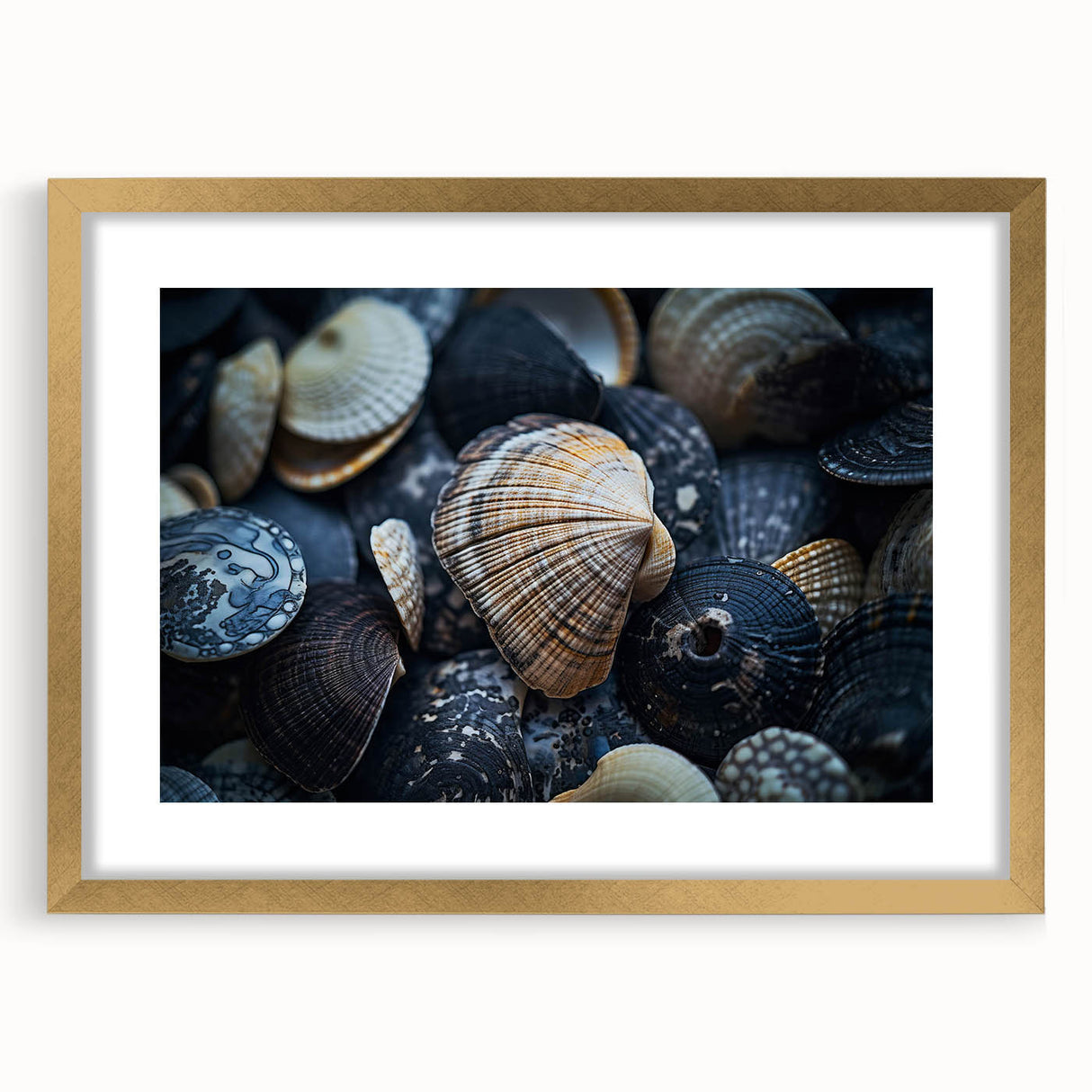 Coral-inspired wall art collection featuring intricate marine life designs in gold frames, elegantly matted for a sophisticated look, perfect for ocean-themed decor.