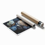 Vibrant marine life coral design wall art print showcasing intricate details of oceanic colors and textures, perfect for enhancing coastal-themed interiors.