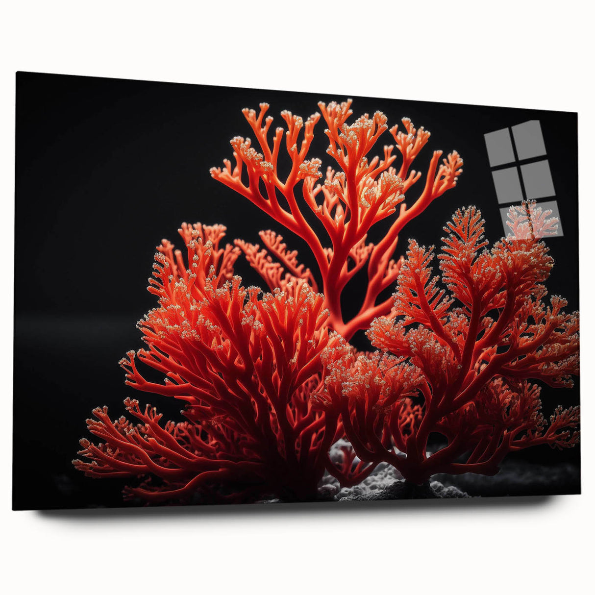 Vibrant marine life coral design wall art collection displayed in acrylic glass, showcasing intricate underwater patterns and vivid colors, ideal for ocean-themed decor.