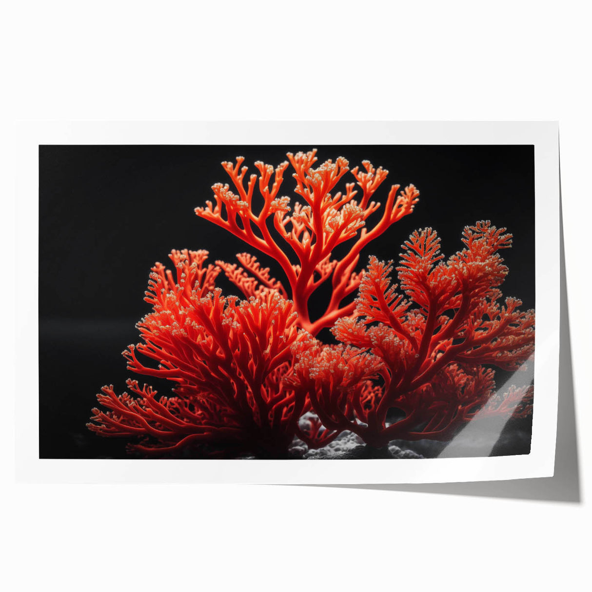 Colorful marine life coral design wall art print showcasing vibrant underwater hues, perfect for ocean-themed decor. Ideal for enhancing home or office spaces.