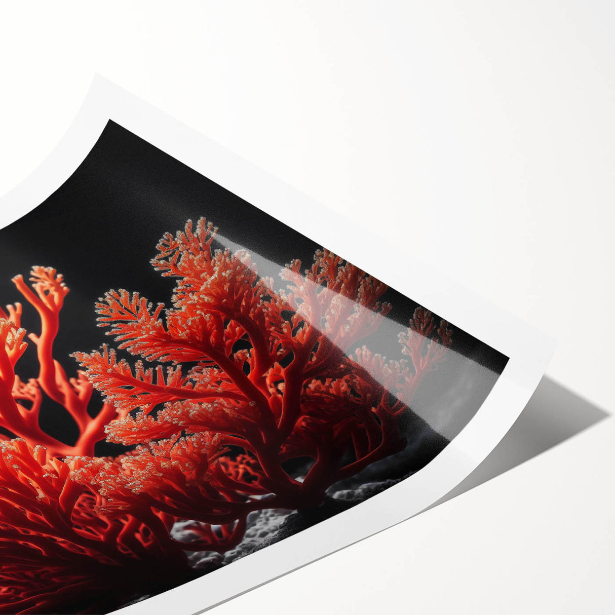 Vibrant marine life wall art print showcasing intricate coral designs in vivid colors, rolled for easy display or framing, enhancing ocean-themed decor.
