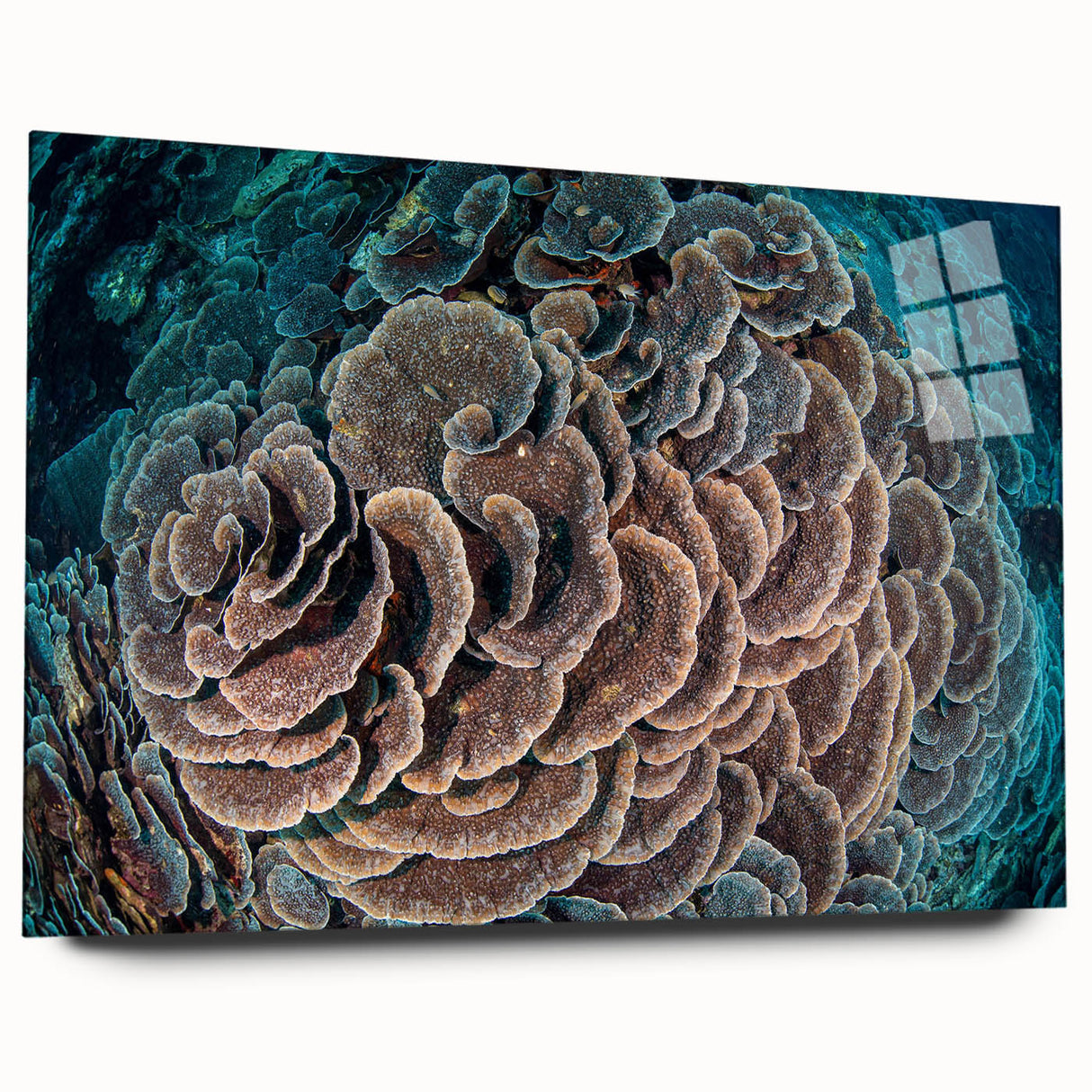 Vibrant acrylic glass wall art showcasing intricate coral reef marine life design, presented in a side view that highlights its glossy finish and depth. Ideal for ocean-themed decor.