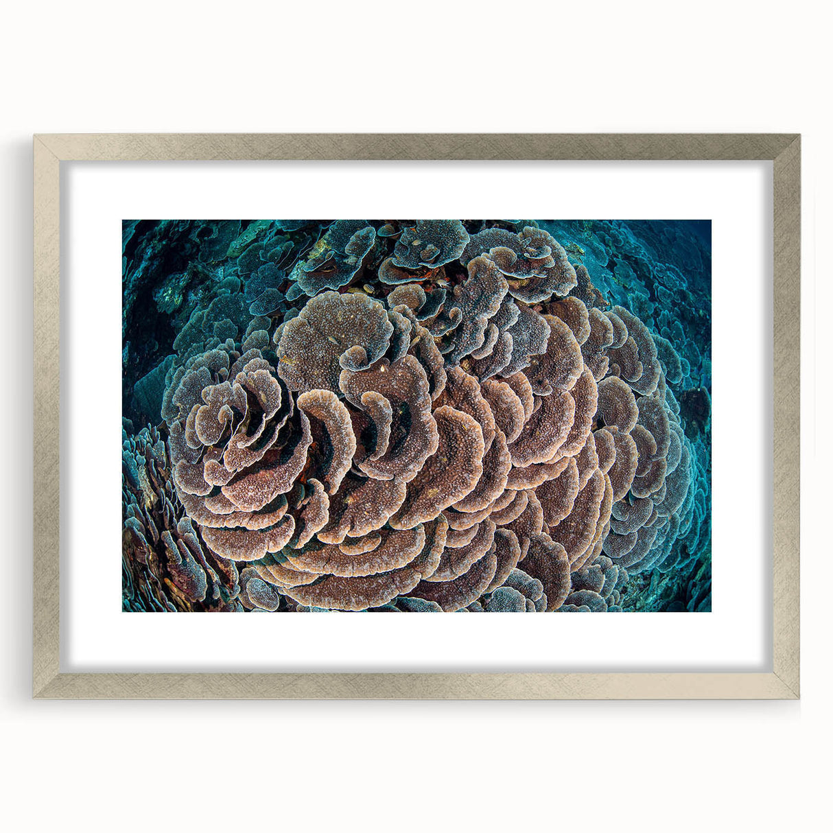 Framed wall art featuring a vibrant marine life and coral design, set in a sleek silver frame with matting, ideal for ocean-themed decor and coastal aesthetics.