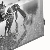 Close-up view of a vibrant marine life wall art piece featuring a detailed crab design, printed on acrylic glass, showcasing rich colors and textures. Perfect for ocean-themed decor.