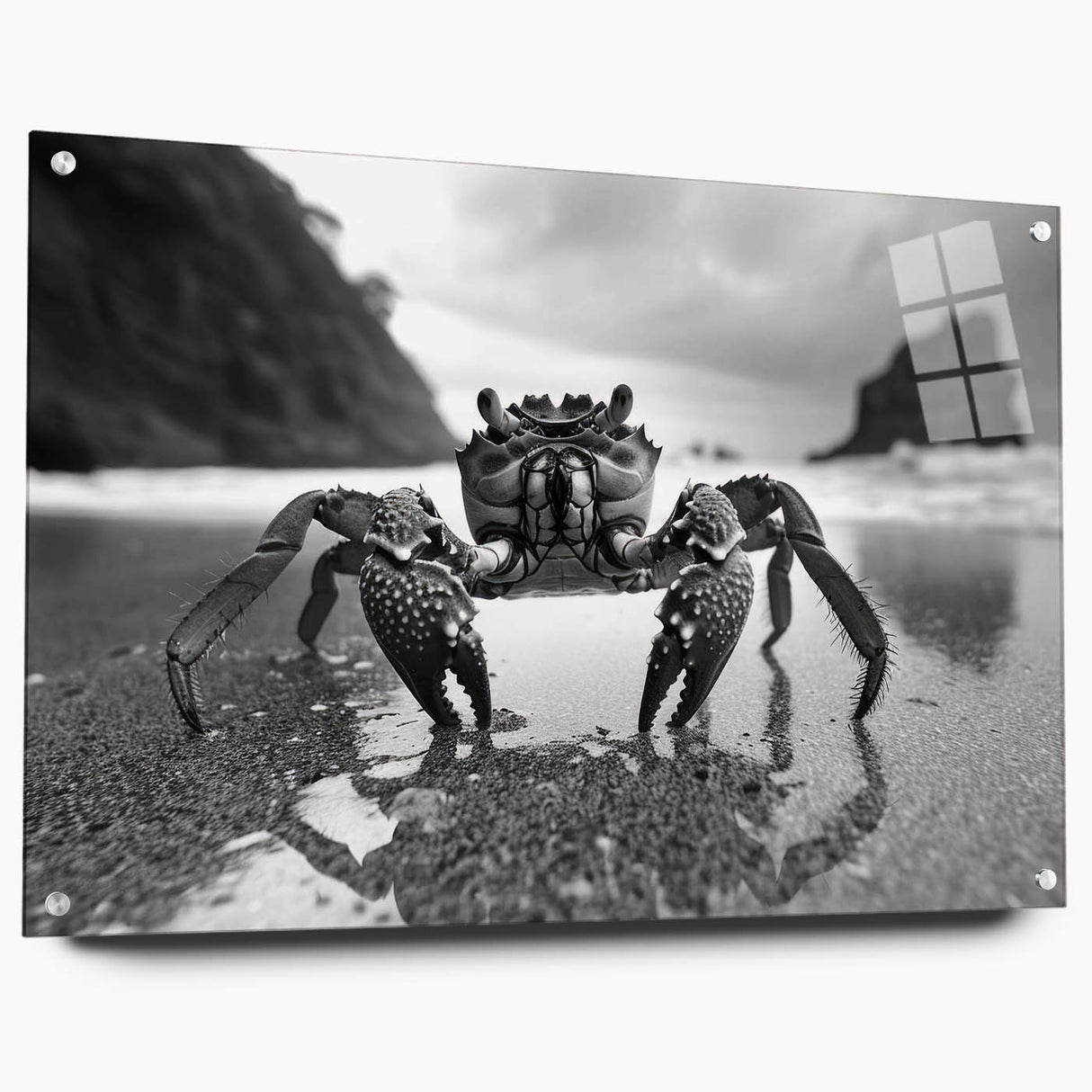 Acrylic wall art design showcasing a vibrant marine life crab, featuring a side view with detailed textures and colors, mounted with pins for display.