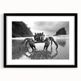 Black-framed wall art featuring a detailed marine life crab design, elegantly matted to enhance its vibrant colors and intricate features, perfect for ocean-themed decor.