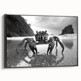Framed canvas wall art showcasing a detailed marine life crab design, featuring vibrant colors and a sleek black frame, perfect for coastal-themed decor.