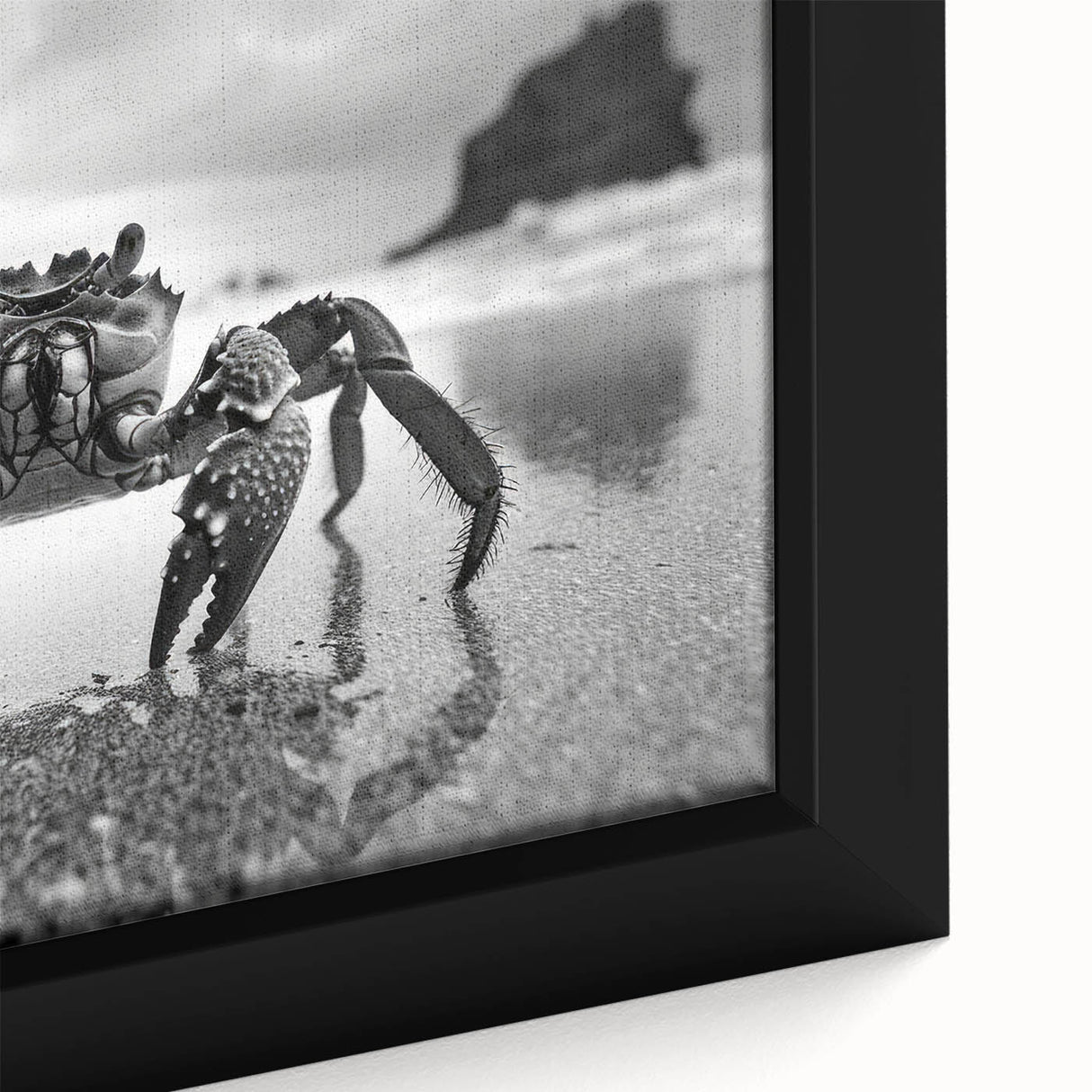 Close-up view of a framed canvas wall art featuring a vibrant marine life crab design, showcasing intricate details in colors of red, orange, and blue, perfect for ocean-themed decor.