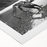 Colorful marine life wall art featuring a detailed crab design on rolled canvas, ideal for coastal-themed decor, showcasing intricate textures and vibrant hues.