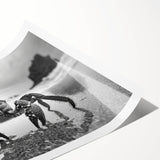 Vibrant marine life wall art featuring a detailed crab illustration in a colorful design, rolled for easy display and shipping in a protective tube.