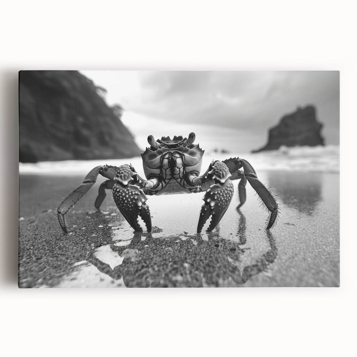 Colorful marine life crab design wall art on stretched canvas, showcasing intricate details and vibrant colors, perfect for ocean-themed decor in any room.