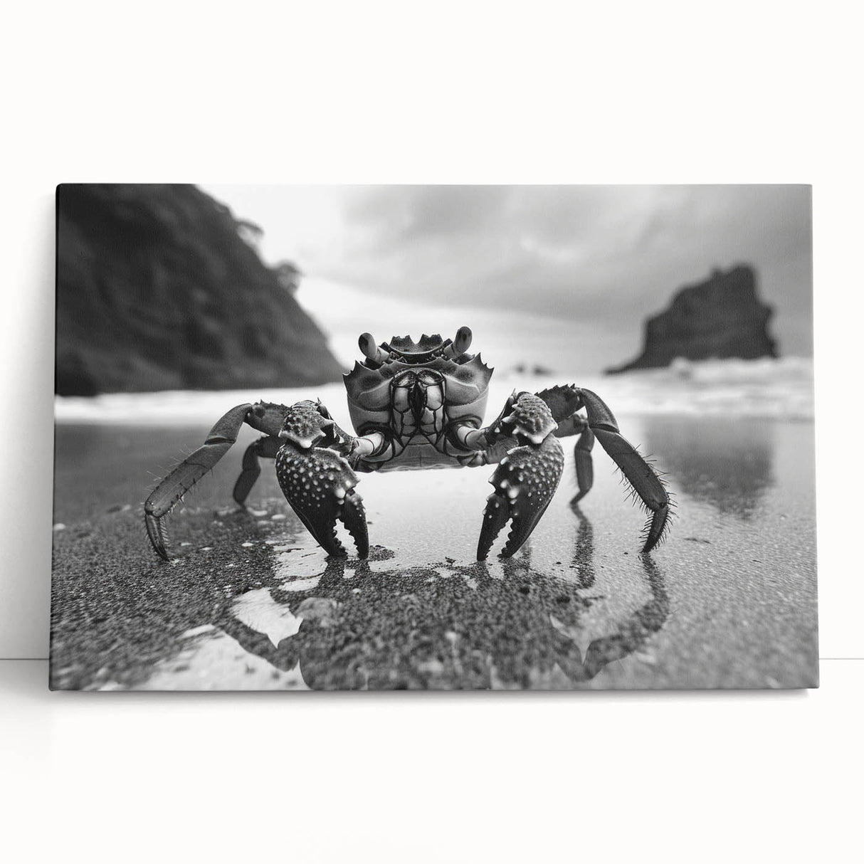 Stretched canvas wall art featuring a vibrant marine life crab design, showcasing intricate details and bright colors, perfect for coastal-themed decor.