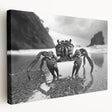 Vibrant marine life crab design on stretched canvas wall art, showcasing intricate details and bold colors, perfect for ocean-themed decor.