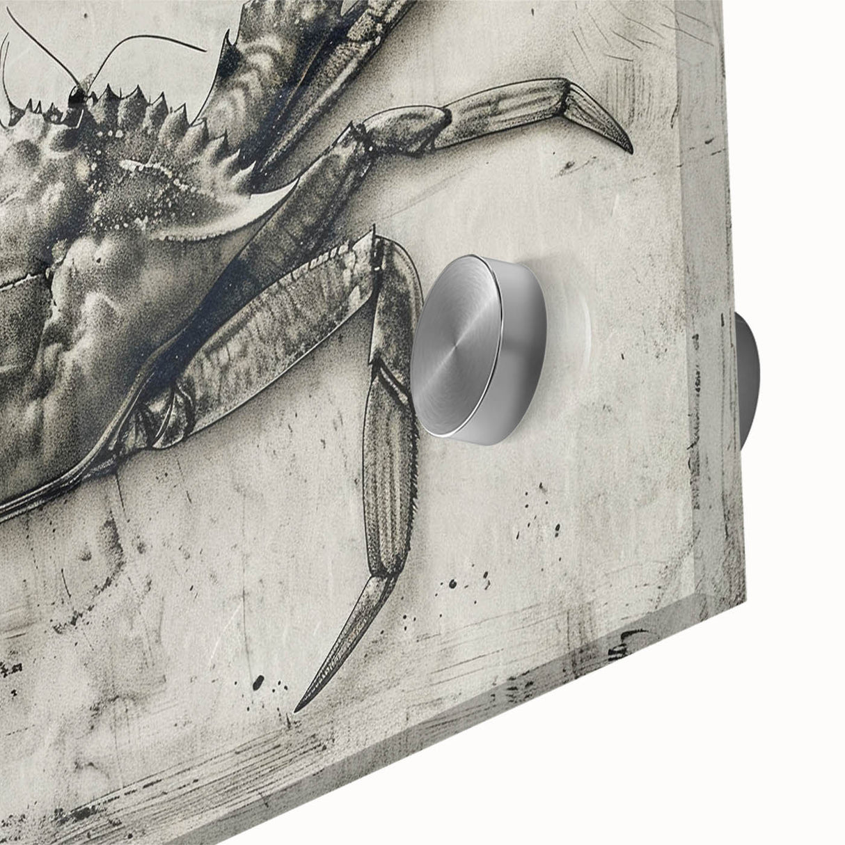 Vibrant close-up of a marine life-themed crab wall art design, showcasing intricate details and bold colors on acrylic glass, ideal for ocean-inspired decor.