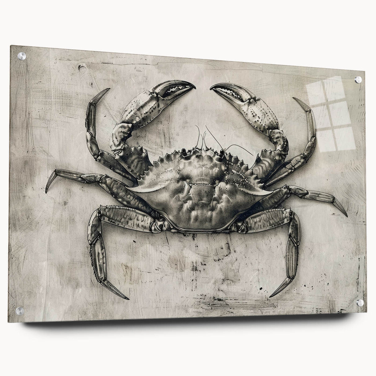 Colorful acrylic wall art showcasing a detailed marine life crab design, presented in a side view with pins for easy hanging, perfect for ocean-themed decor.