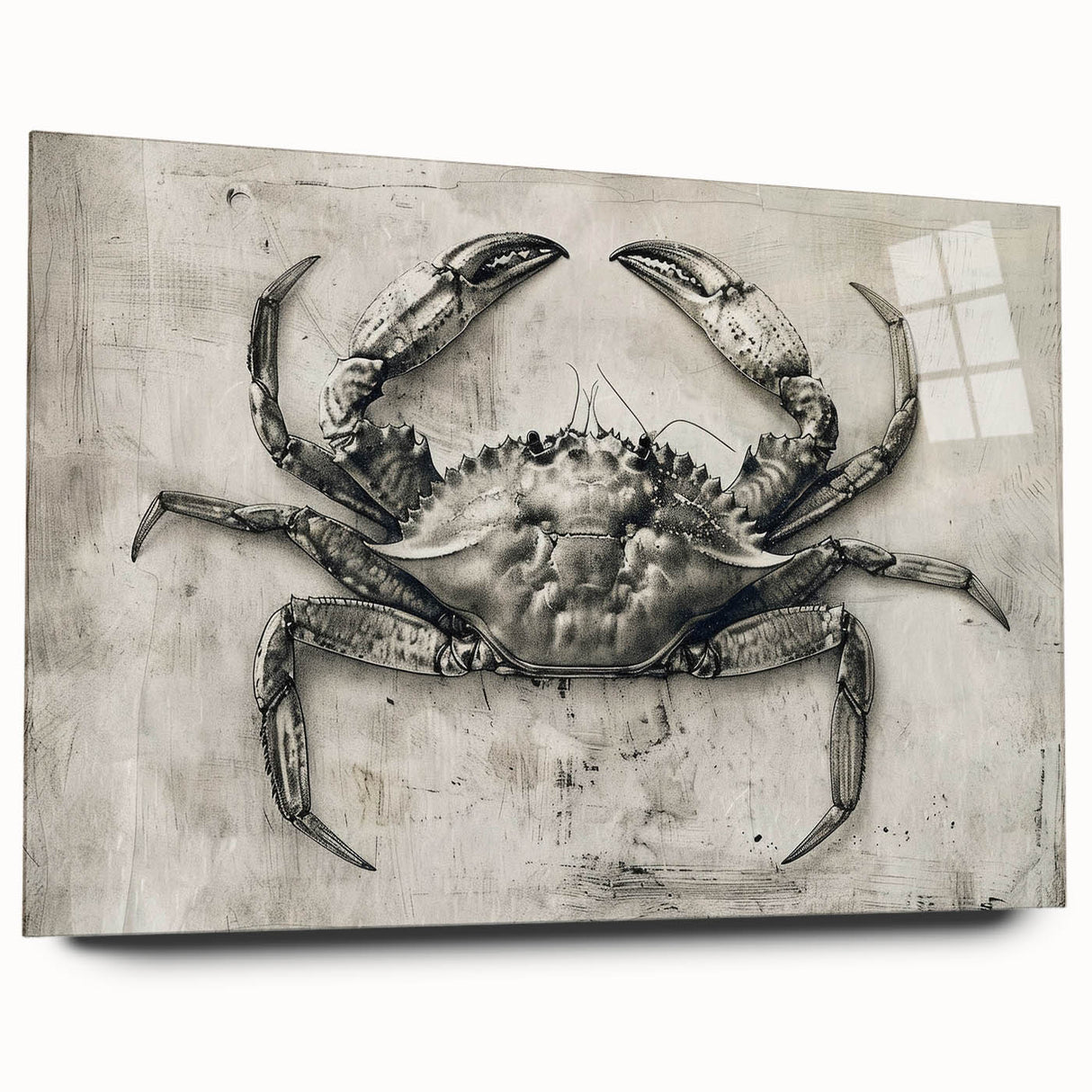 Side view of a marine life crab design wall art piece made from acrylic glass, showcasing vibrant colors and intricate details, perfect for ocean-themed decor.