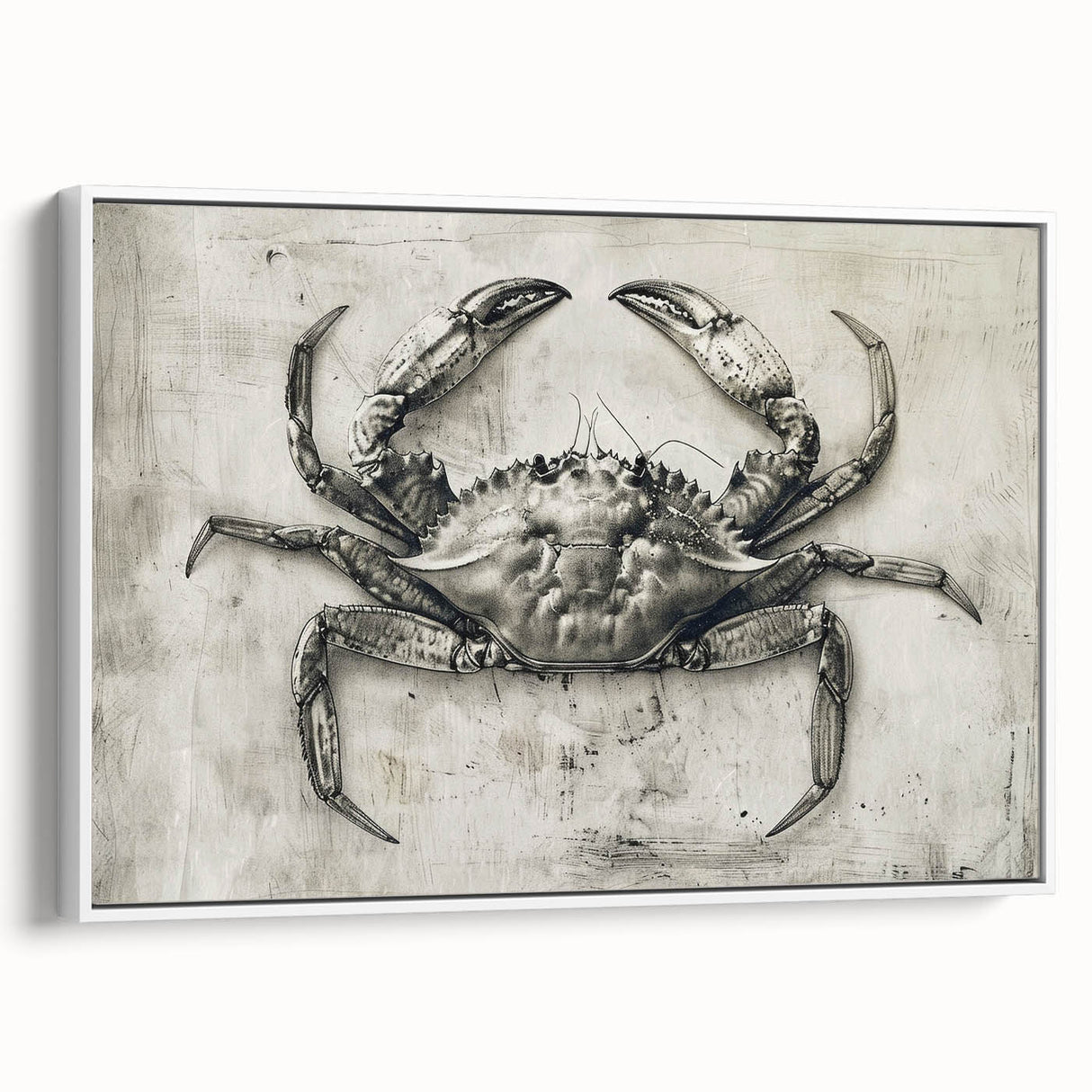 Framed wall art featuring a vibrant marine life crab design on a white background, showcasing intricate details and bold colors, perfect for coastal decor.