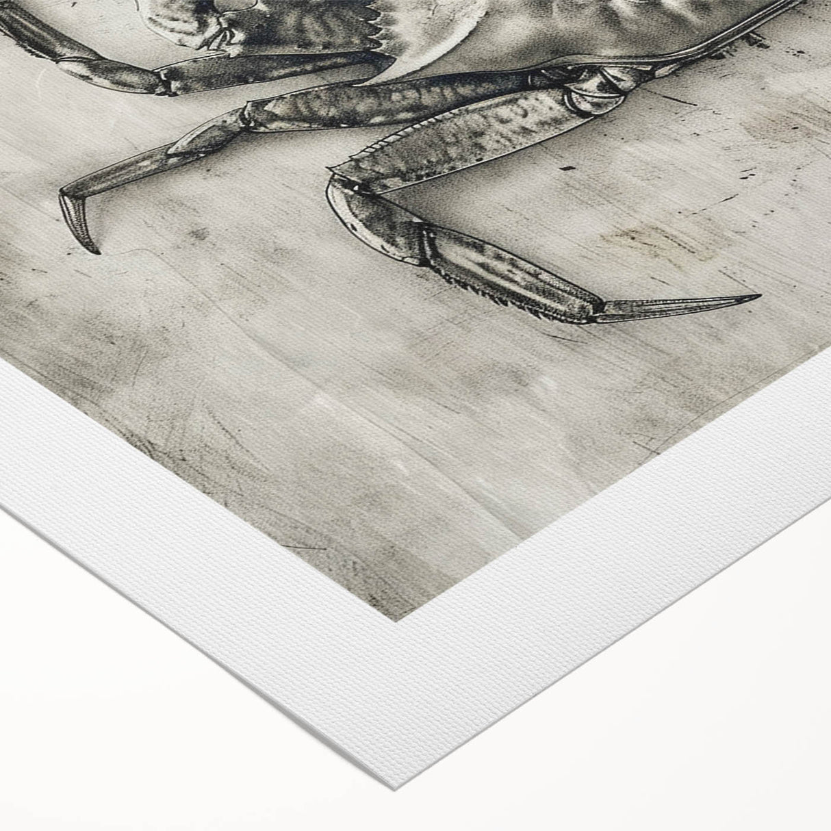 Vibrant rolled canvas wall art showcasing an intricate marine life crab design in bold colors, ideal for enhancing coastal-themed home decor.