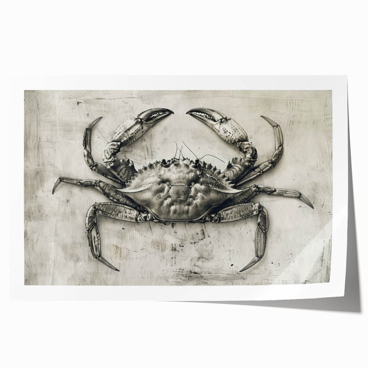 Vibrant crab-themed wall art print showcasing intricate marine life details, perfect for coastal décor, rolled and ready for framing. Ideal for nature lovers.