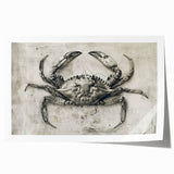 Vibrant crab-themed wall art print showcasing intricate marine life details, perfect for coastal décor, rolled and ready for framing. Ideal for nature lovers.