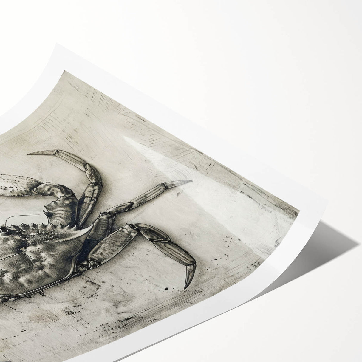Colorful marine life wall art featuring a detailed crab design, printed on high-quality paper and ready for framing, perfect for ocean-themed decor.