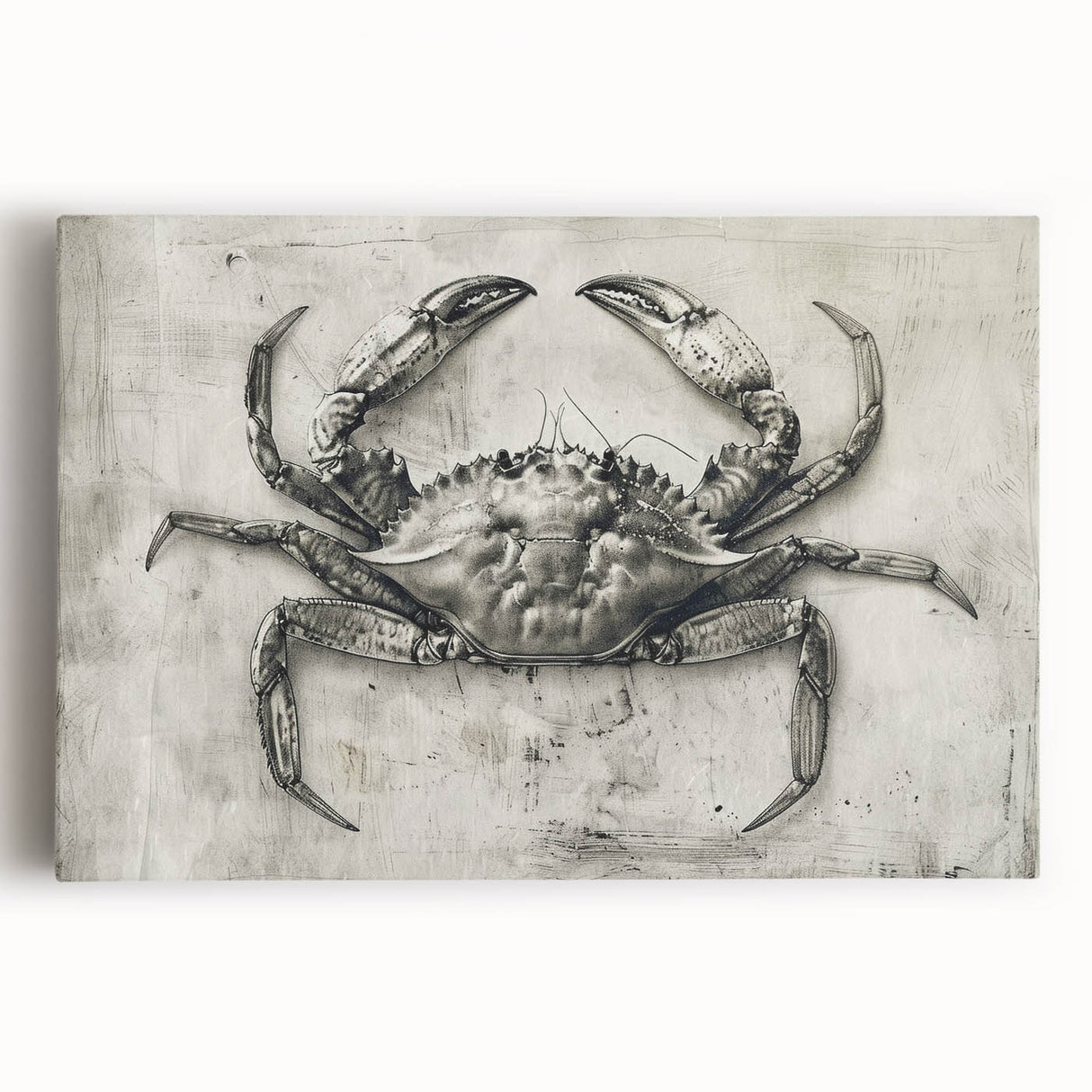 Vibrant stretched canvas wall art featuring a detailed marine life crab design, showcasing rich colors and intricate textures, perfect for coastal decor enthusiasts.
