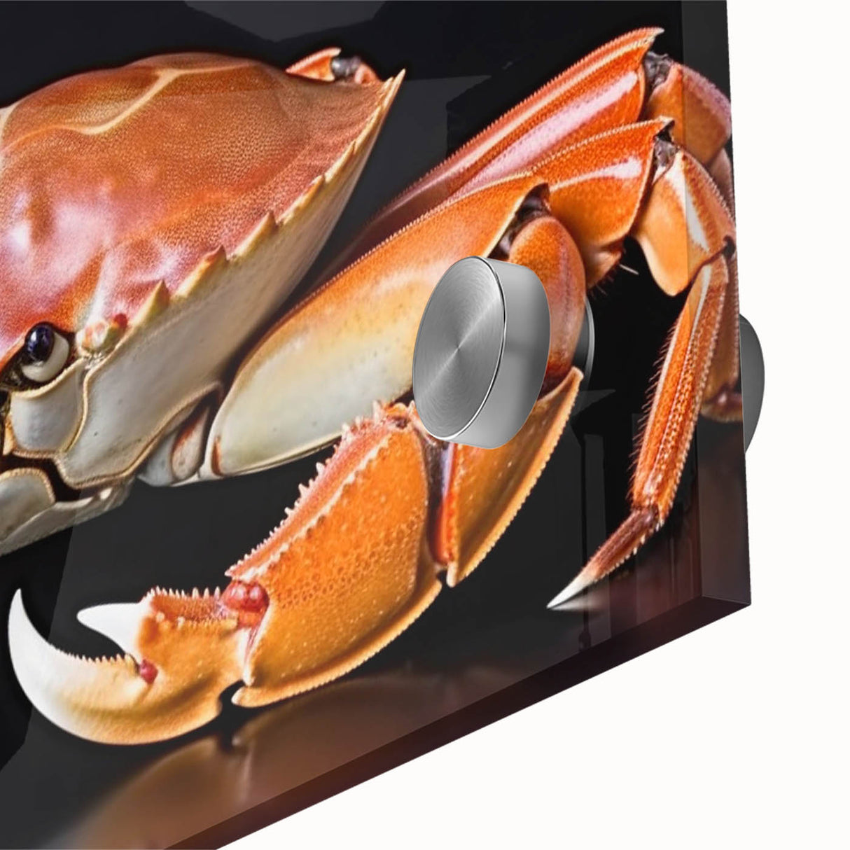 Close-up of a vibrant marine life crab wall art design, showcasing intricate details and colors on acrylic glass, perfect for enhancing ocean-themed decor.